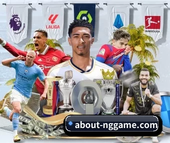 NG体育 APP 界面